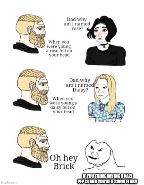 dad why am I named | IF YOU THINK HAVING A NAZI PFP IS BAD YOU'RE A SNOW FLAK!! | image tagged in dad why am i named | made w/ Imgflip meme maker