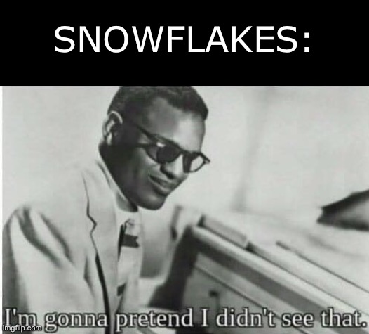 I'm gonna pretend I didn't see that | SNOWFLAKES: | image tagged in i'm gonna pretend i didn't see that | made w/ Imgflip meme maker