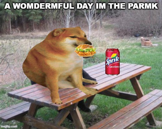 A wonderful day in the park | A WOMDERMFUL DAY IM THE PARMK | image tagged in cheems,park,sprite and chicken burgers | made w/ Imgflip meme maker