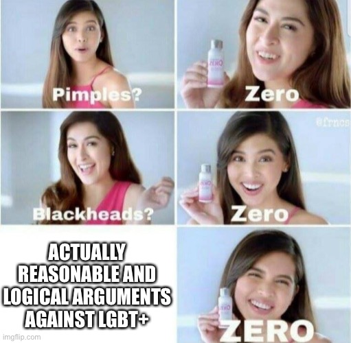 Pimples, Zero! | ACTUALLY REASONABLE AND LOGICAL ARGUMENTS AGAINST LGBT+ | image tagged in pimples zero | made w/ Imgflip meme maker