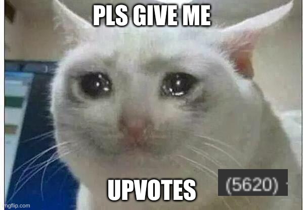 crying cat | PLS GIVE ME; UPVOTES | image tagged in crying cat | made w/ Imgflip meme maker
