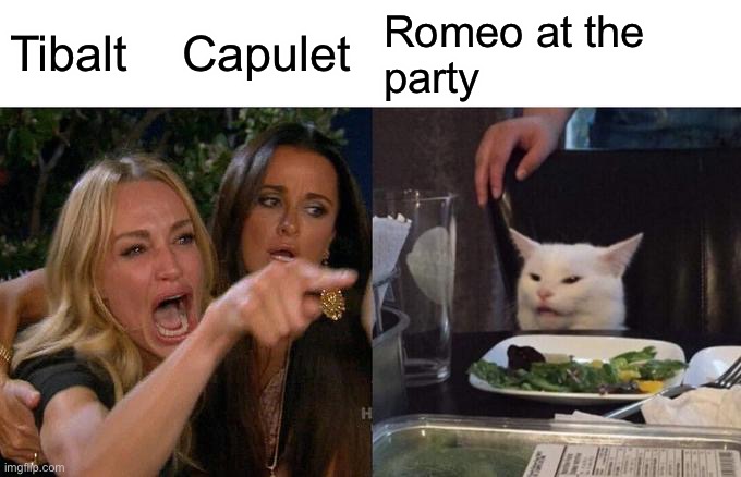 Woman Yelling At Cat Meme | Tibalt    Capulet; Romeo at the 
party | image tagged in memes,woman yelling at cat | made w/ Imgflip meme maker