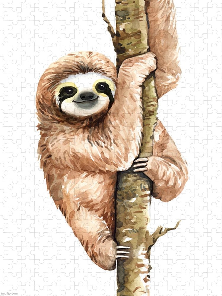 Sloth cartoon | image tagged in sloth cartoon | made w/ Imgflip meme maker