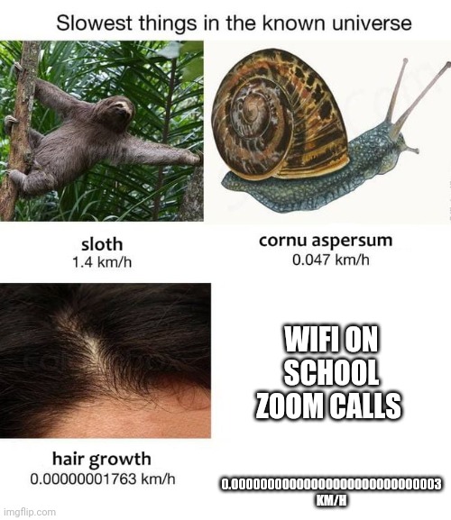 Ha | WIFI ON SCHOOL ZOOM CALLS; 0.00000000000000000000000000003 KM/H | image tagged in slowest things | made w/ Imgflip meme maker