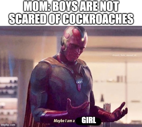 not sure, ngl, I am scared of cockroaches | MOM: BOYS ARE NOT SCARED OF COCKROACHES; GIRL | image tagged in blank white template,maybe i am a monster blank | made w/ Imgflip meme maker