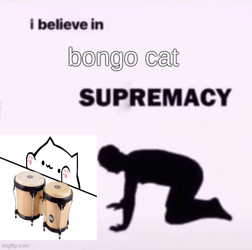 THE CAT OF BONGOS | bongo cat | image tagged in i believe in supremacy | made w/ Imgflip meme maker