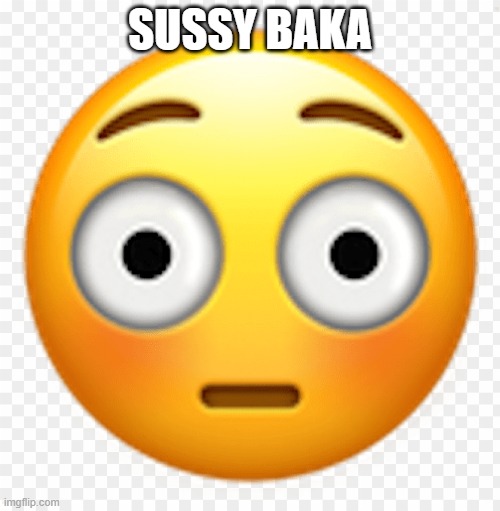 SUSSY BAKA | MEME | with smiley face | Sticker