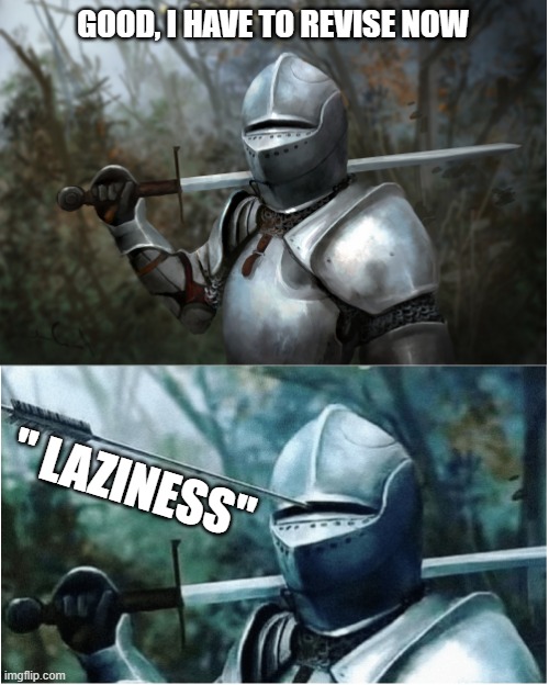 Knight with arrow in helmet | GOOD, I HAVE TO REVISE NOW; " LAZINESS" | image tagged in knight with arrow in helmet | made w/ Imgflip meme maker