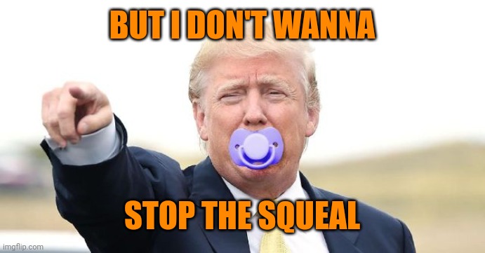 Trump Baby | BUT I DON'T WANNA; STOP THE SQUEAL | image tagged in trump baby | made w/ Imgflip meme maker