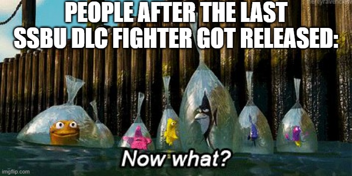 Now What? | PEOPLE AFTER THE LAST SSBU DLC FIGHTER GOT RELEASED: | image tagged in now what,super smash bros | made w/ Imgflip meme maker