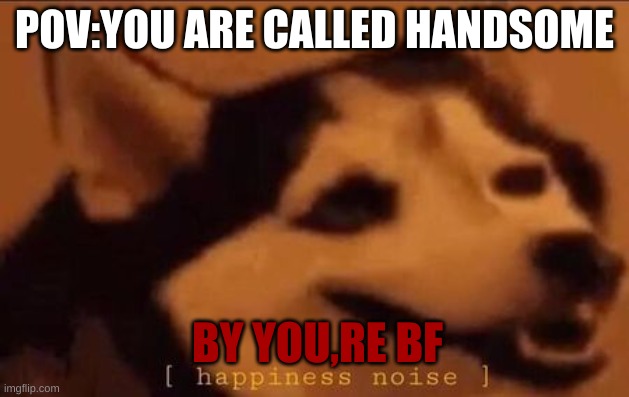 im sorry | POV:YOU ARE CALLED HANDSOME; BY YOU,RE BF | image tagged in happiness noise | made w/ Imgflip meme maker
