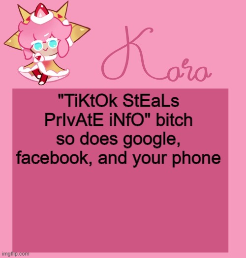 h | "TiKtOk StEaLs PrIvAtE iNfO" bitch so does google, facebook, and your phone | image tagged in h | made w/ Imgflip meme maker