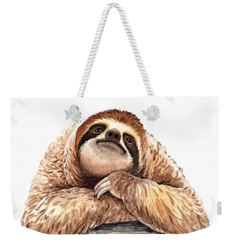 High Quality Sloth bag transparent Blank Meme Template