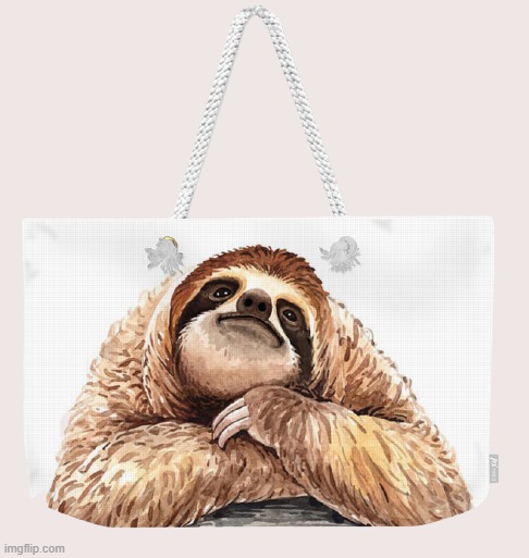 Sloth bag transparent | image tagged in sloth bag transparent | made w/ Imgflip meme maker