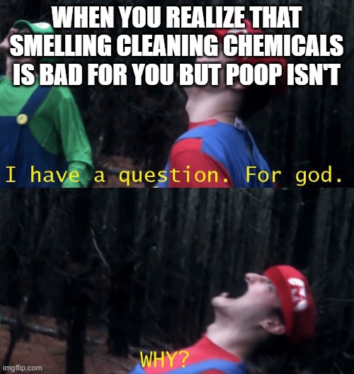 disgusting, but true |  WHEN YOU REALIZE THAT SMELLING CLEANING CHEMICALS IS BAD FOR YOU BUT POOP ISN'T | image tagged in i have a question for god why | made w/ Imgflip meme maker