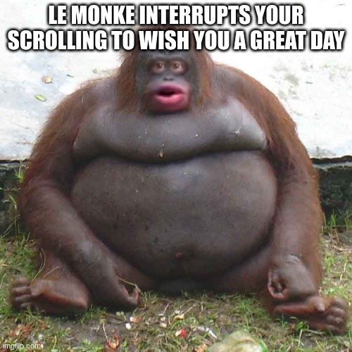 Le Monke | LE MONKE INTERRUPTS YOUR SCROLLING TO WISH YOU A GREAT DAY | image tagged in le monke | made w/ Imgflip meme maker