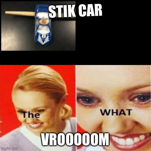 The What | STIK CAR; VROOOOOM | image tagged in the what | made w/ Imgflip meme maker