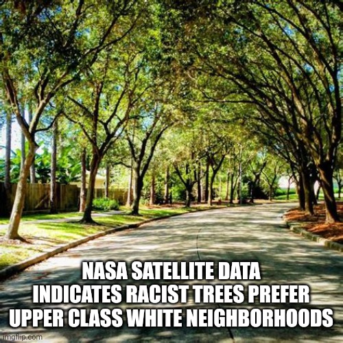 NASA OUTS RACIST TREES | NASA SATELLITE DATA INDICATES RACIST TREES PREFER UPPER CLASS WHITE NEIGHBORHOODS | image tagged in racist neighborhood trees,neighborhood,political meme,trees | made w/ Imgflip meme maker