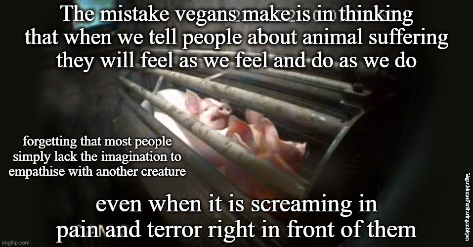 Empathy |  The mistake vegans make is in thinking
that when we tell people about animal suffering
they will feel as we feel and do as we do; forgetting that most people
simply lack the imagination to
empathise with another creature; even when it is screaming in
pain and terror right in front of them; VeganMemesForSharing/minkpen | image tagged in vegan,bacon,chicken,hamburger,dairy,eggs | made w/ Imgflip meme maker