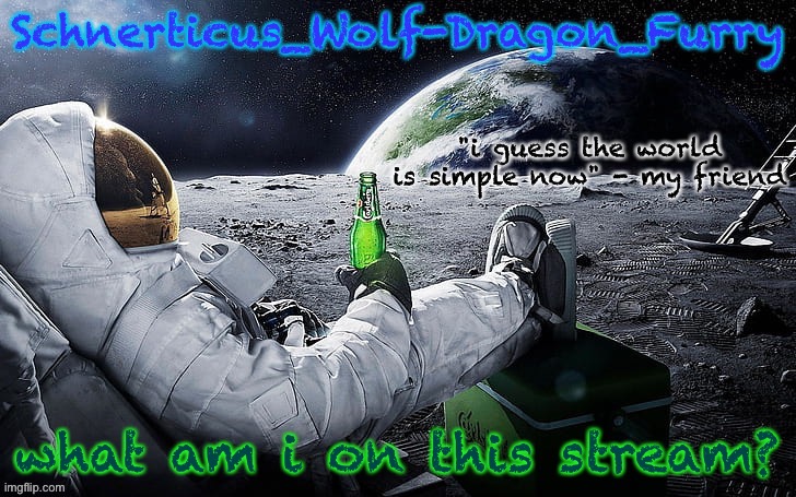 new temp for Schnerticus | what am i on this stream? | image tagged in new temp for schnerticus | made w/ Imgflip meme maker
