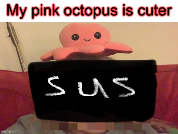 another octopus meme | My pink octopus is cuter | image tagged in mood,octopus | made w/ Imgflip meme maker