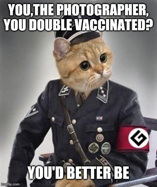 Grammar Nazi Cat | YOU,THE PHOTOGRAPHER, YOU DOUBLE VACCINATED? YOU'D BETTER BE | image tagged in grammar nazi cat | made w/ Imgflip meme maker