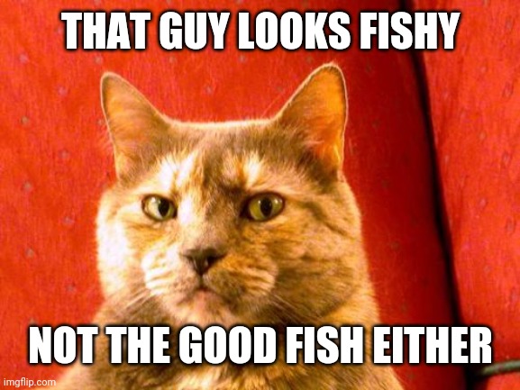 Suspicious Cat Meme | THAT GUY LOOKS FISHY; NOT THE GOOD FISH EITHER | image tagged in memes,suspicious cat | made w/ Imgflip meme maker