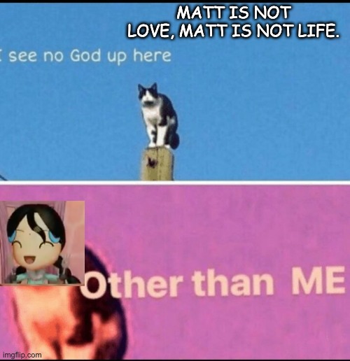 Matt is BS |  MATT IS NOT LOVE, MATT IS NOT LIFE. | image tagged in i see no god up here other than me,matt,mii,wii | made w/ Imgflip meme maker