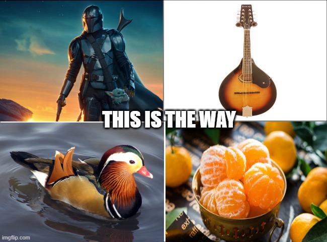 This Is The Way |  THIS IS THE WAY | image tagged in 4 panel comic,the mandalorian | made w/ Imgflip meme maker