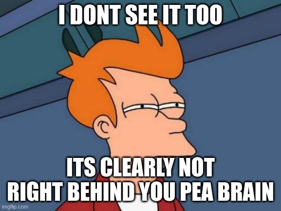 Futurama Fry Meme | I DONT SEE IT TOO ITS CLEARLY NOT RIGHT BEHIND YOU PEA BRAIN | image tagged in memes,futurama fry | made w/ Imgflip meme maker