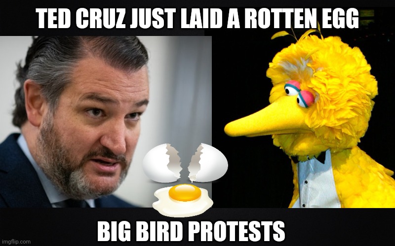 Ted Cruz VS Big Bird | TED CRUZ JUST LAID A ROTTEN EGG; BIG BIRD PROTESTS | image tagged in ted cruz memes,big bird memes,laid an egg,egg memes,political memes,funny political memes | made w/ Imgflip meme maker