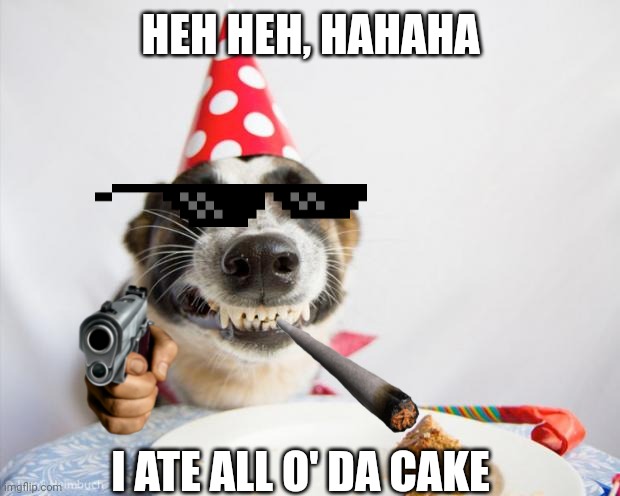 Dogggggoooooo!!!!! | HEH HEH, HAHAHA; I ATE ALL O' DA CAKE | image tagged in birthday dog | made w/ Imgflip meme maker