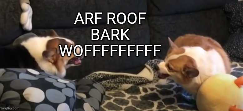 Angery Bois | ARF ROOF BARK WOFFFFFFFFF | image tagged in angery bois | made w/ Imgflip meme maker