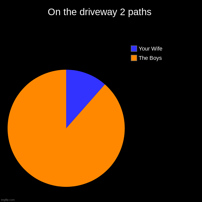 On the driveway 2 paths | The Boys, Your Wife | image tagged in charts,pie charts | made w/ Imgflip chart maker