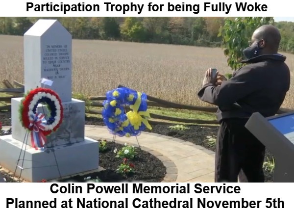 Here's what being Fully 'WOKE' gets you. | image tagged in fully vaccinated,fully woke,woke,colin powell,participation trophy,covidiots | made w/ Imgflip meme maker