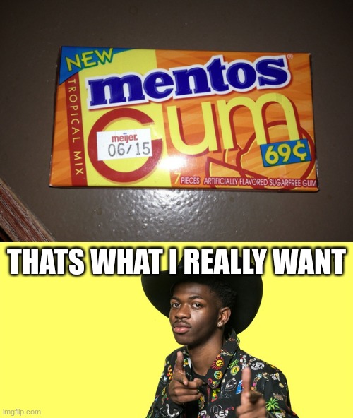 THATS WHAT I REALLY WANT | image tagged in ummm,lil nas x blank | made w/ Imgflip meme maker