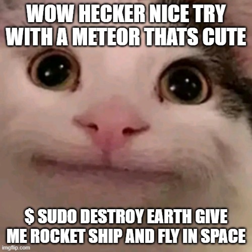Hecker finally learns his lesson | WOW HECKER NICE TRY WITH A METEOR THATS CUTE; $ SUDO DESTROY EARTH GIVE ME ROCKET SHIP AND FLY IN SPACE | image tagged in beluga | made w/ Imgflip meme maker