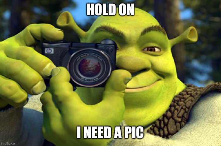 shrek camera | HOLD ON I NEED A PICTURE | image tagged in shrek camera | made w/ Imgflip meme maker