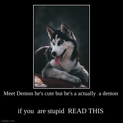 Demon Stupid | image tagged in funny,demotivationals | made w/ Imgflip demotivational maker