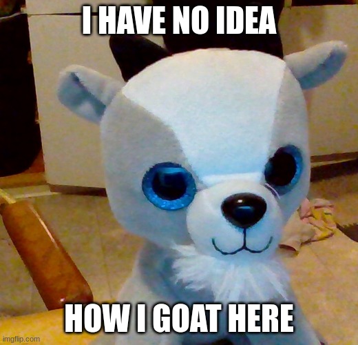cute goat | I HAVE NO IDEA; HOW I GOAT HERE | image tagged in goat memes,cute,bad pun | made w/ Imgflip meme maker