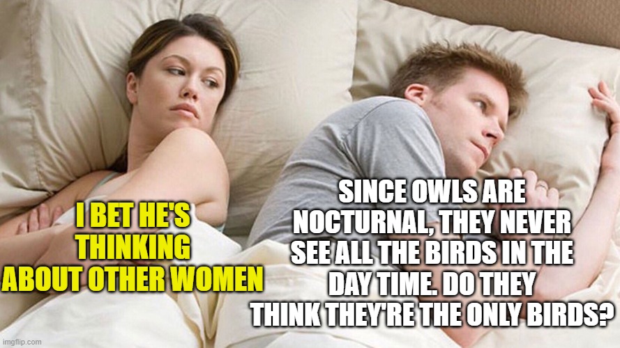 couple in bed | SINCE OWLS ARE NOCTURNAL, THEY NEVER SEE ALL THE BIRDS IN THE DAY TIME. DO THEY THINK THEY'RE THE ONLY BIRDS? I BET HE'S THINKING ABOUT OTHER WOMEN | image tagged in couple in bed | made w/ Imgflip meme maker