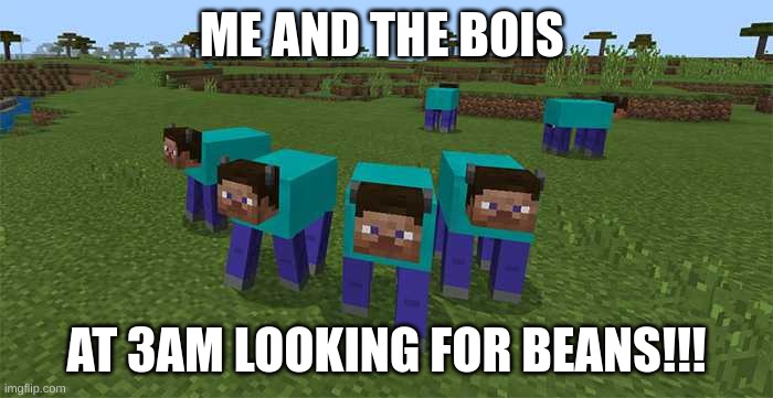 me and the boys | ME AND THE BOIS; AT 3AM LOOKING FOR BEANS!!! | image tagged in me and the boys | made w/ Imgflip meme maker