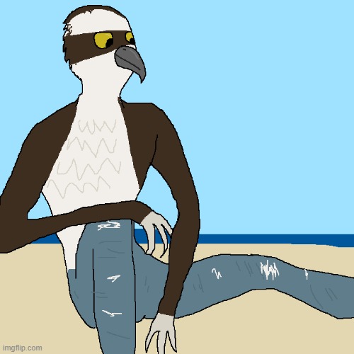 Osprey Boi (art by me) | made w/ Imgflip meme maker