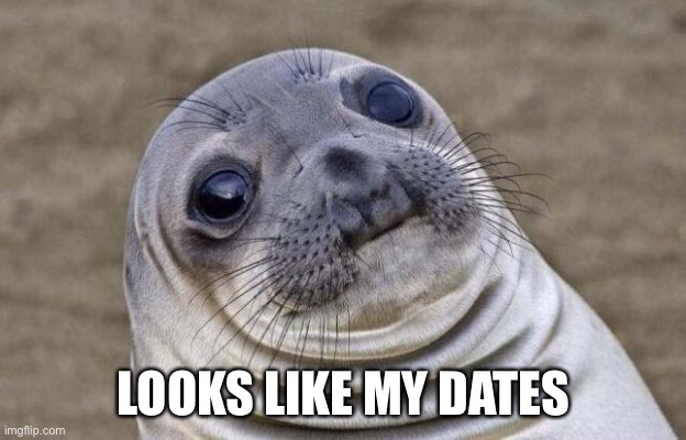 Awkward Moment Sealion Meme | LOOKS LIKE MY DATES | image tagged in memes,awkward moment sealion | made w/ Imgflip meme maker