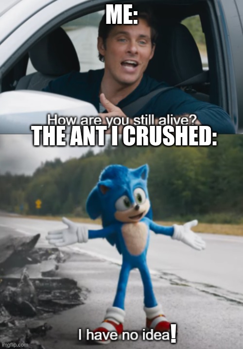 Sonic the Ant | ME:; THE ANT I CRUSHED:; ! | image tagged in sonic how are you still alive,sonic the hedgehog,lisa simpson's presentation,santa | made w/ Imgflip meme maker