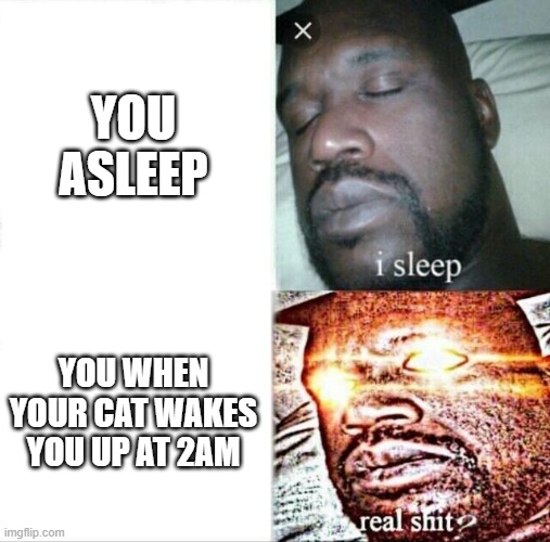This is for all you cat people follow if you relate | YOU ASLEEP; YOU WHEN YOUR CAT WAKES YOU UP AT 2AM | image tagged in memes,sleeping shaq | made w/ Imgflip meme maker