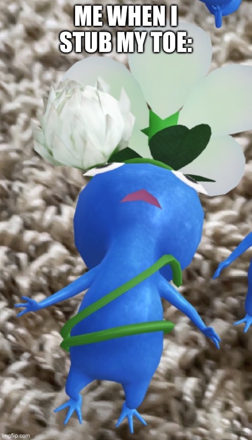Pikmin | ME WHEN I STUB MY TOE: | image tagged in pikmin | made w/ Imgflip meme maker