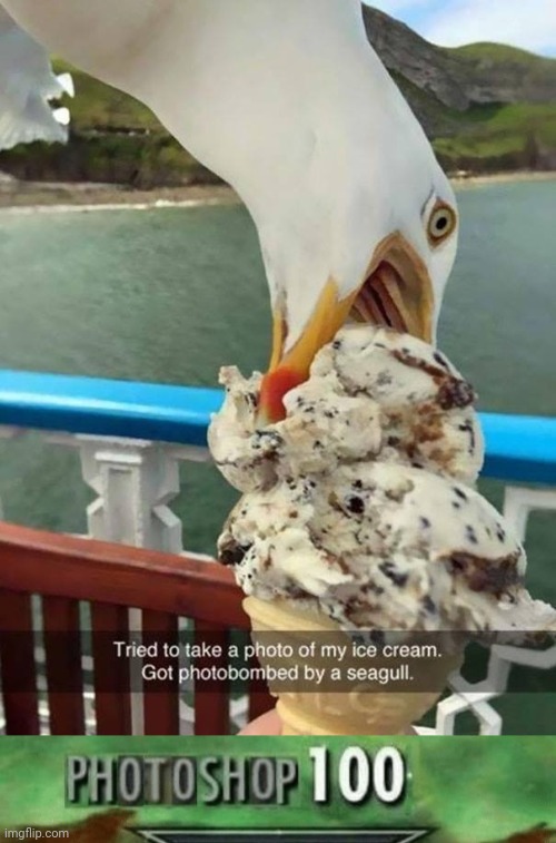 Seagull ice cream cone photoshop | image tagged in photoshop 100,seagull,memes,funny,ice cream,you had one job | made w/ Imgflip meme maker
