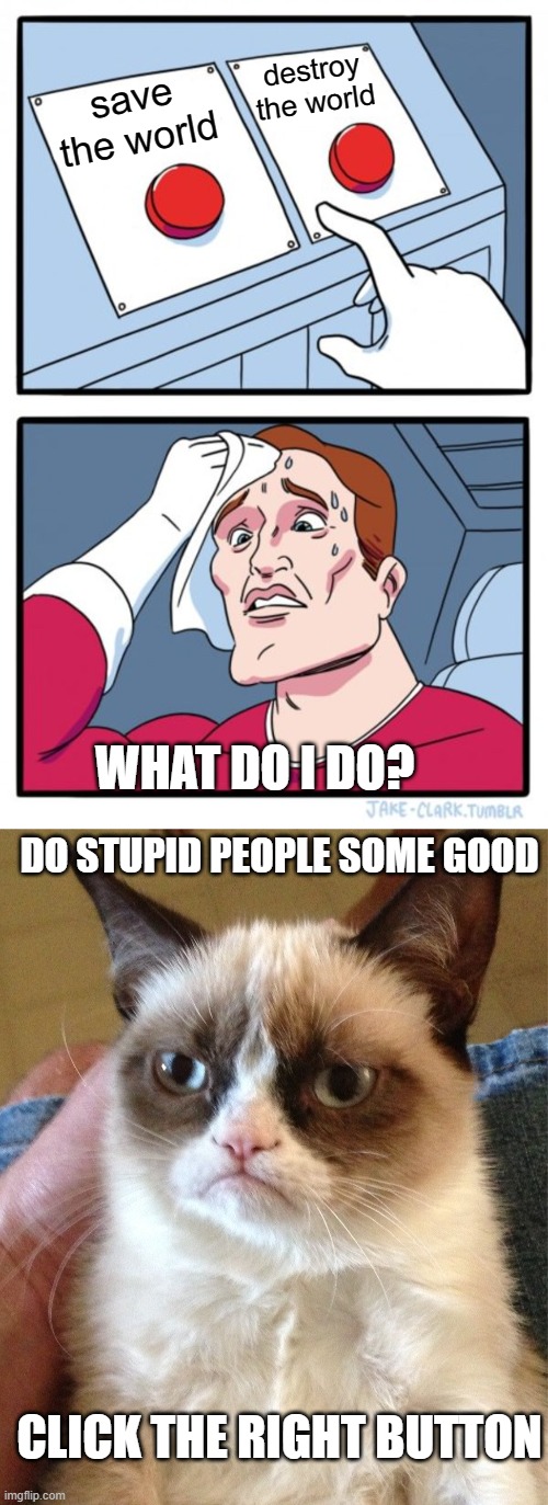 destroy the world; save the world; WHAT DO I DO? DO STUPID PEOPLE SOME GOOD; CLICK THE RIGHT BUTTON | image tagged in memes,two buttons,grumpy cat | made w/ Imgflip meme maker