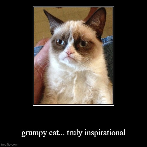 image tagged in demotivationals,grumpy cat | made w/ Imgflip demotivational maker